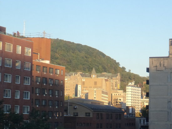 park-3.jpg