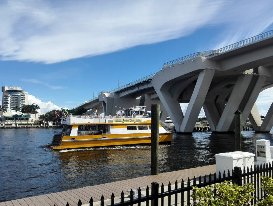 bridge-2.jpg