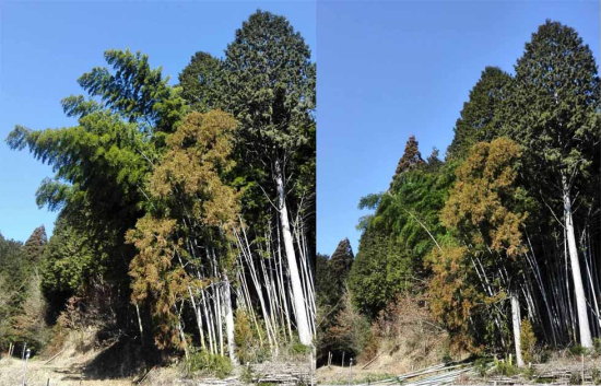 b4-after3.jpg